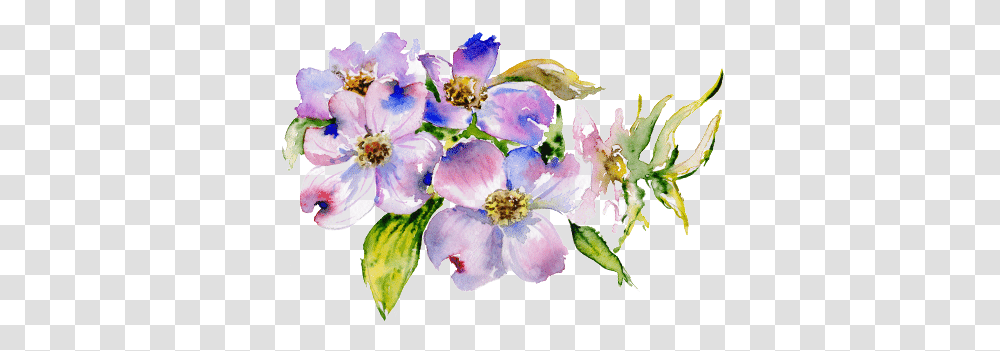 Download Hd I Have Tried To Develop A Program That Has California Wild Rose, Plant, Pollen, Flower, Blossom Transparent Png