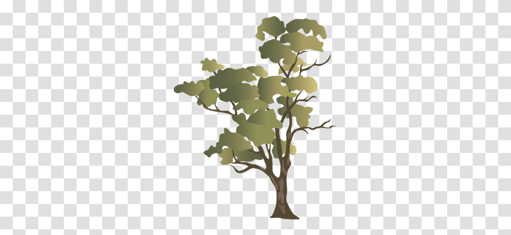 Download Hd Ian Symbol Eucalyptus Camaldulensis Gum Tree Deciduous Trees And Evergreen Trees, Map, Diagram, Plot, Plant Transparent Png