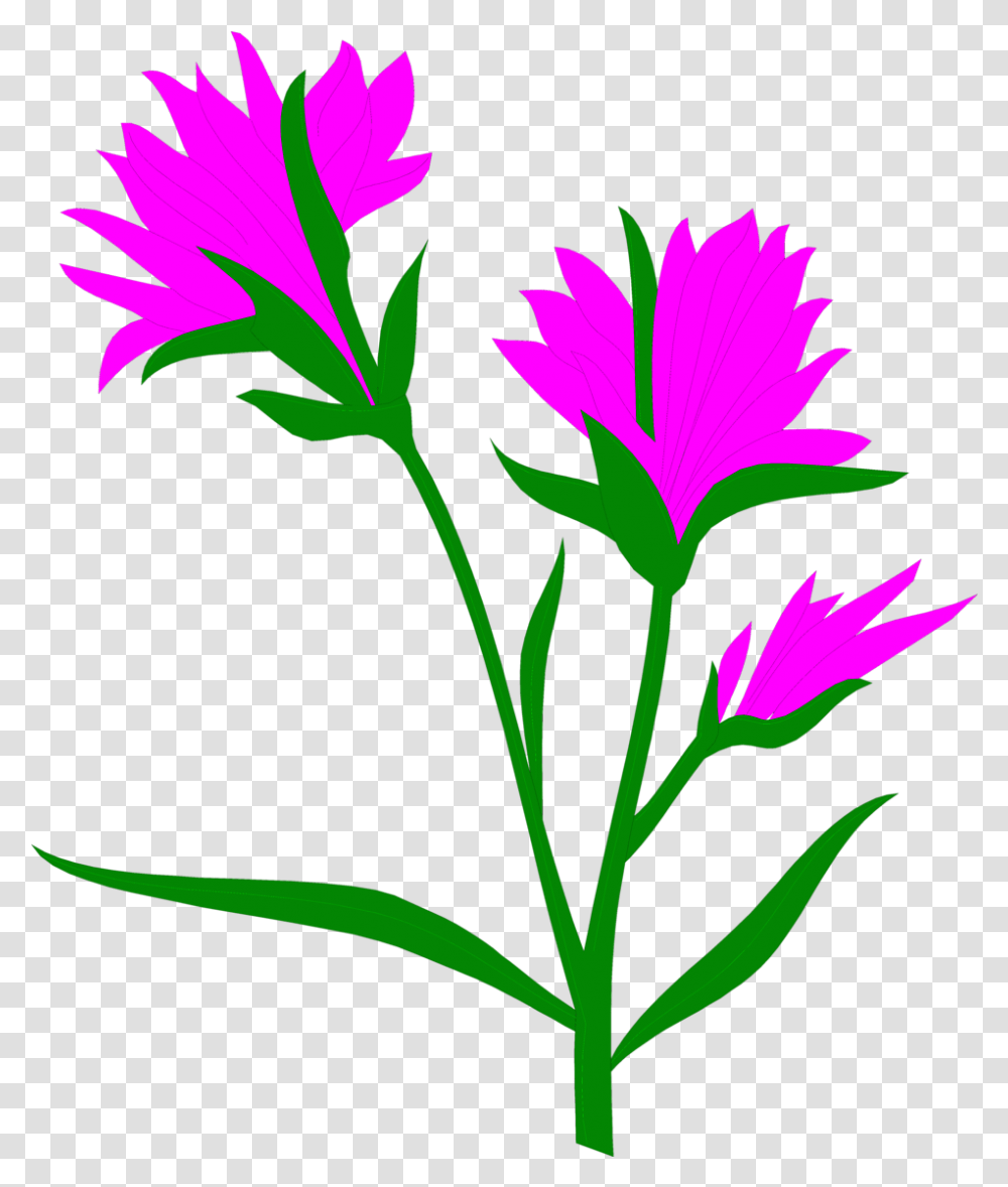 Download Hd Indian Indian Flower Art Paintbrush Clipart Background, Plant, Blossom, Leaf, Acanthaceae Transparent Png