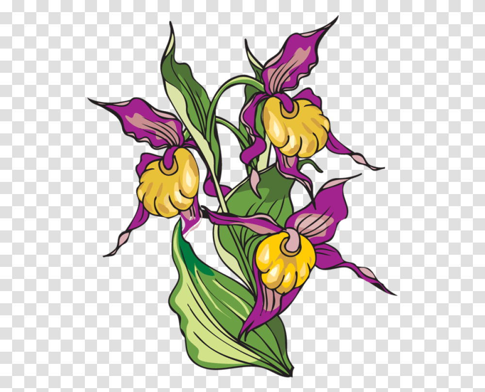 Download Hd Iris Flower Clipart Clip Art Clip Art, Graphics, Floral Design, Pattern, Plant Transparent Png