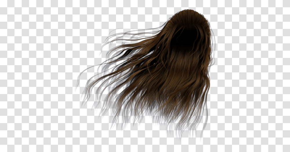 Download Hd J84pum0 Hair In The Wind, Sea Life, Animal, Invertebrate, Person Transparent Png