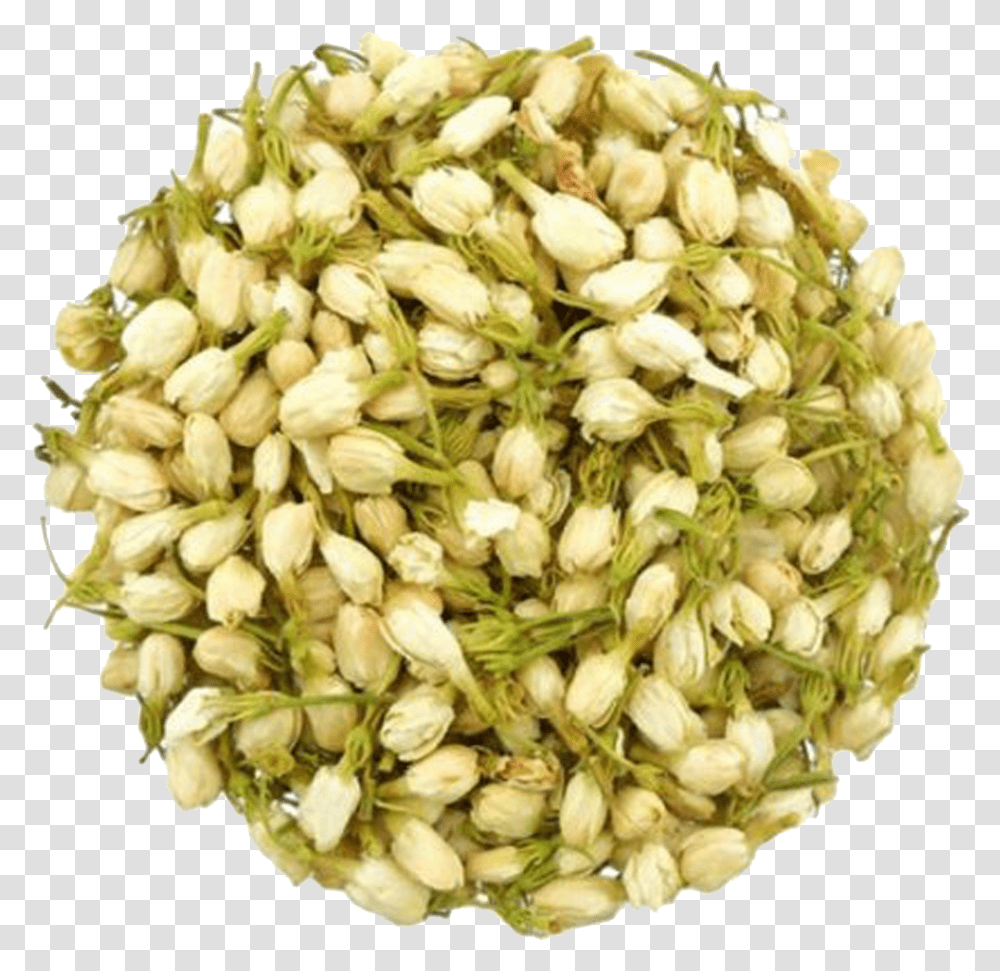 Download Hd Jasmine Flower Tea Jasmine, Plant, Bud, Sprout, Vegetable Transparent Png