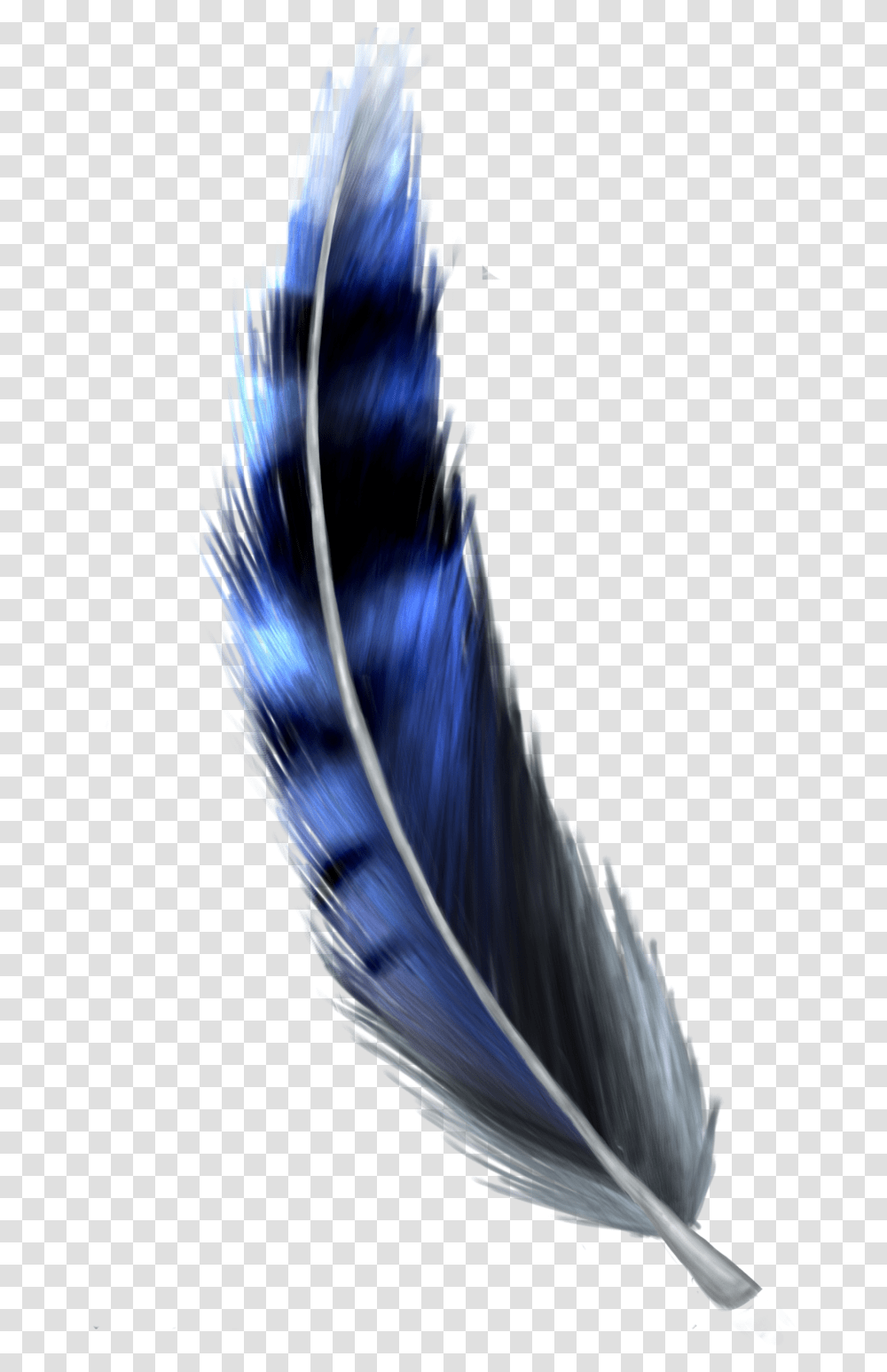 Download Hd Jay Feather Blue Jay Feather Blue Jay Feather, Bird, Animal, Lighting, Graphics Transparent Png