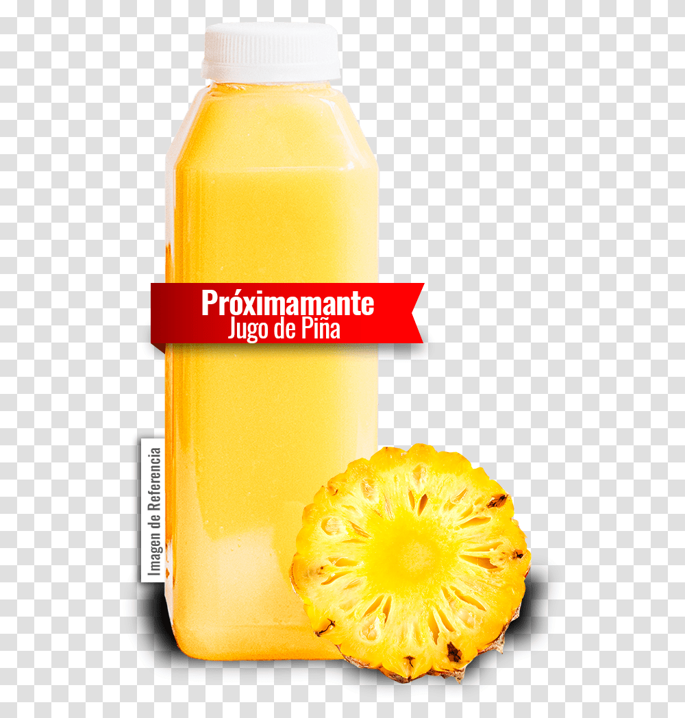 Download Hd Jugo De Alinal Orange Drink Empresa De Jugos De, Juice, Beverage, Orange Juice, Plant Transparent Png