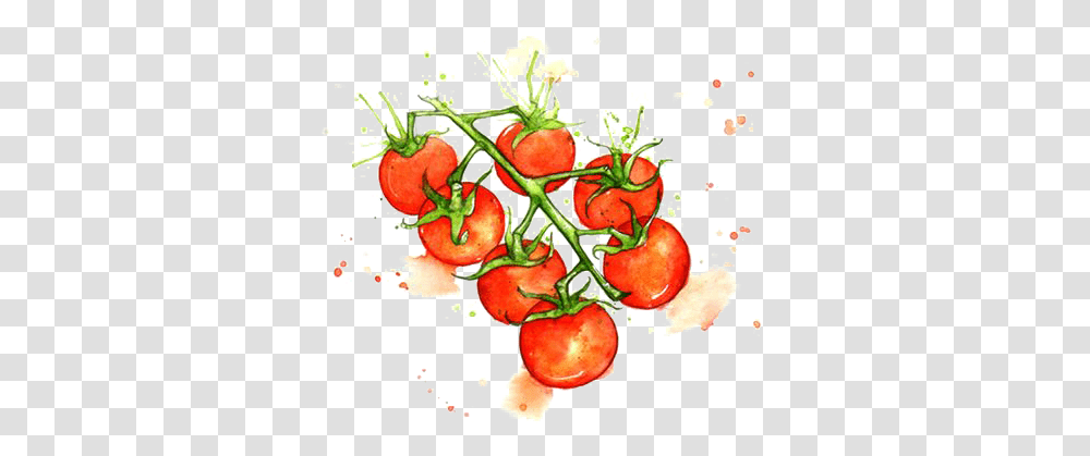 Download Hd Juice Cherry Tomato Watercolor Painting Tomato Art Watercolor, Plant, Food, Strawberry, Fruit Transparent Png