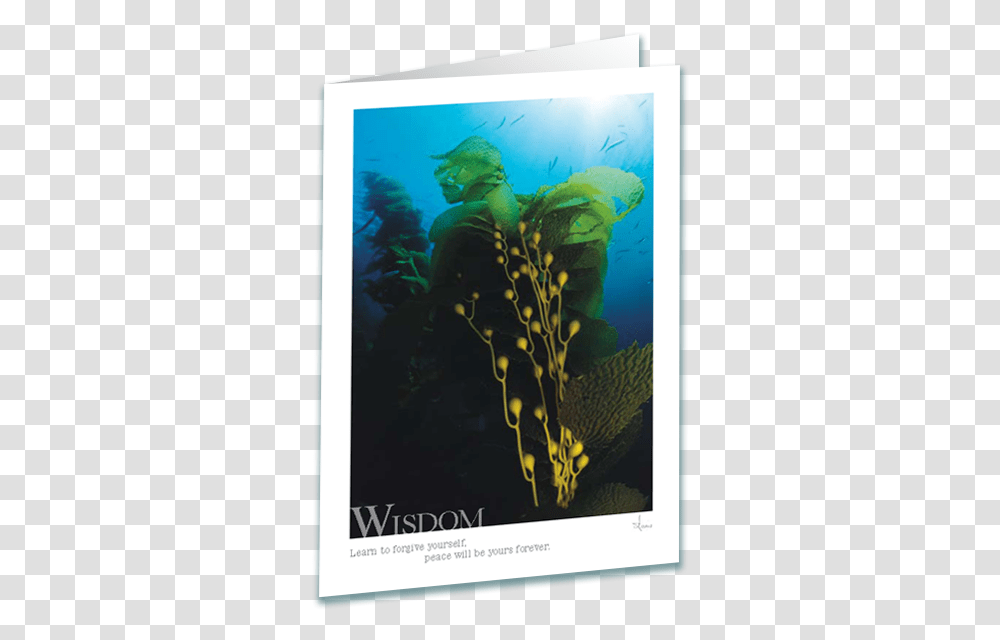 Download Hd Kelp Forest Greeting Card Fictional Character, Water, Person, Human, Outdoors Transparent Png