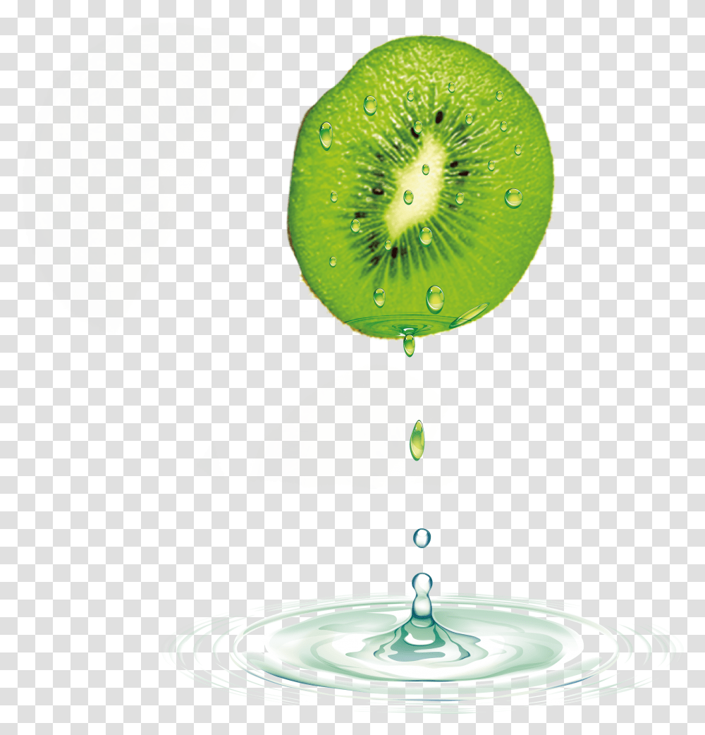 Download Hd Kiwifruit Auglis Kiwi Fruit, Plant, Food, Water, Outdoors Transparent Png
