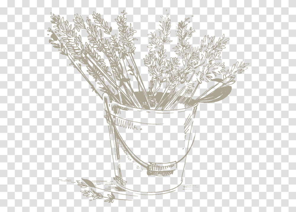 Download Hd Lavender Water Is Used In Cosmetics For Its Bouquet, Plant, Bucket, Bird, Animal Transparent Png
