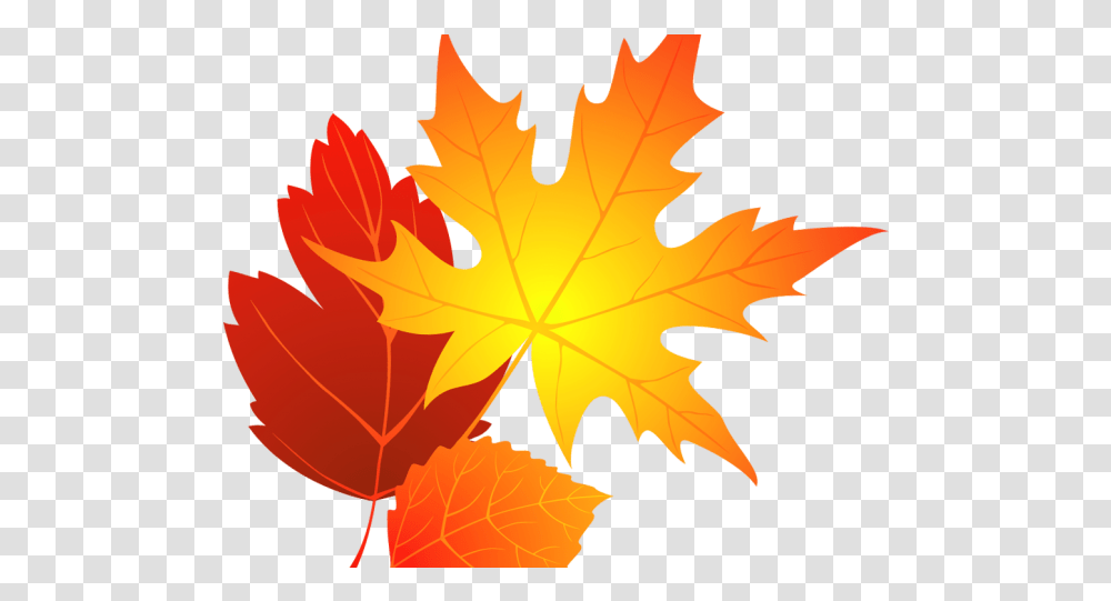 Download Hd Leaves Clipart Oval Leaf Fall Leaves Autumn Leaves, Plant, Tree, Maple, Maple Leaf Transparent Png