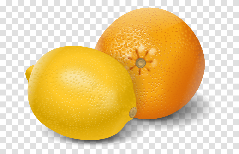 Download Hd Lemon Orange Fruits Clipart Oranges And Lemons Clipart, Citrus Fruit, Plant, Food, Grapefruit Transparent Png