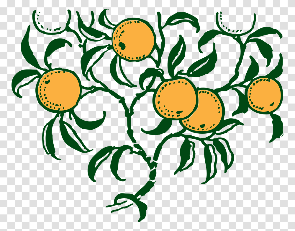 Download Hd Lemon Tree Clipart 26 Buy Clip Art Oranges On Orange Tree Graphic, Food, Plant, Egg, Fruit Transparent Png