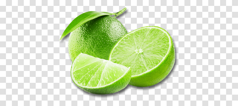 Download Hd Lime Free Lime, Citrus Fruit, Plant, Food, Tennis Ball Transparent Png