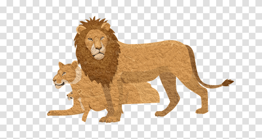 Download Hd Lion Pixabay Animal Lioness Vintage Lion Cartoon Lion With Cub, Mammal, Wildlife, Buffalo, Plant Transparent Png
