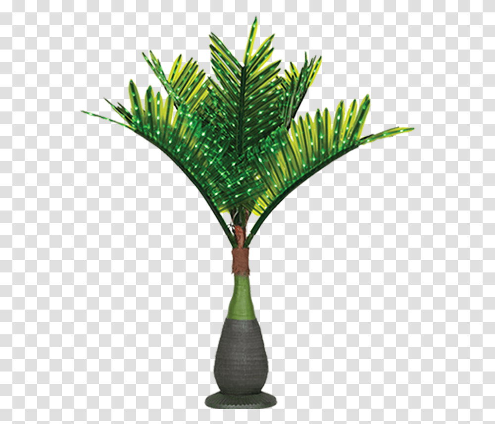 Download Hd Lit Palm Trees Palm Tree With Lights, Plant, Arecaceae, Green, Leaf Transparent Png