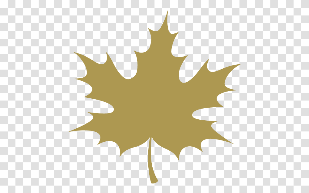 Download Hd Maple Leaf Icon Image Nicepngcom Autumn Leaf Leaf Cartoon, Plant, Tree, Person, Human Transparent Png