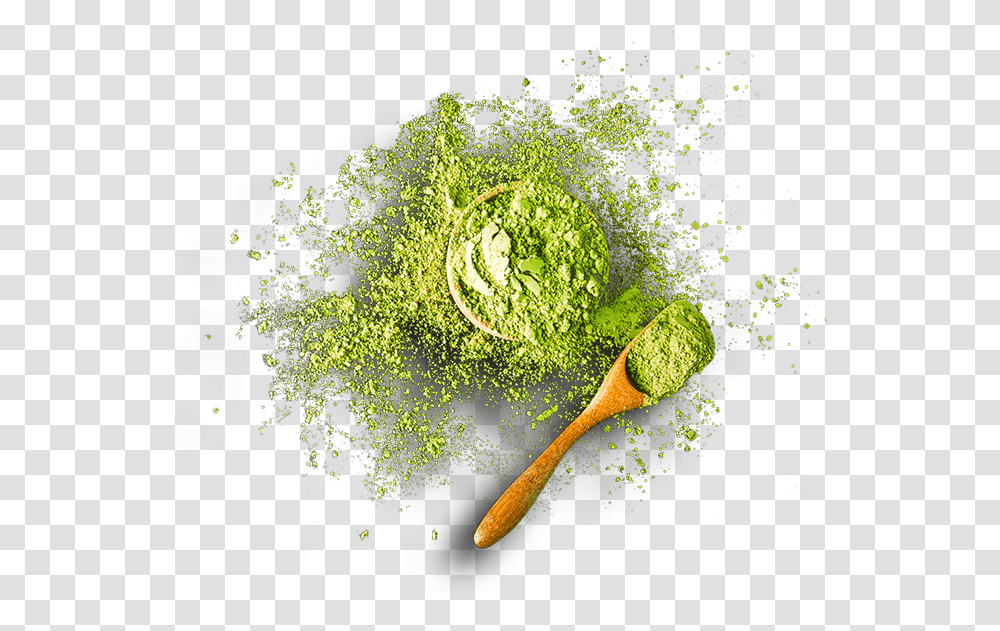 Download Hd Matcha Green Tea Food, Plant, Vegetable, Moss, Cabbage Transparent Png