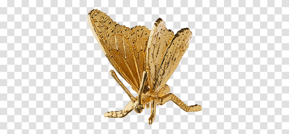 Download Hd Monarch Butterfly Gold Plated Figurine Parasitism, Insect, Invertebrate, Animal, Moth Transparent Png