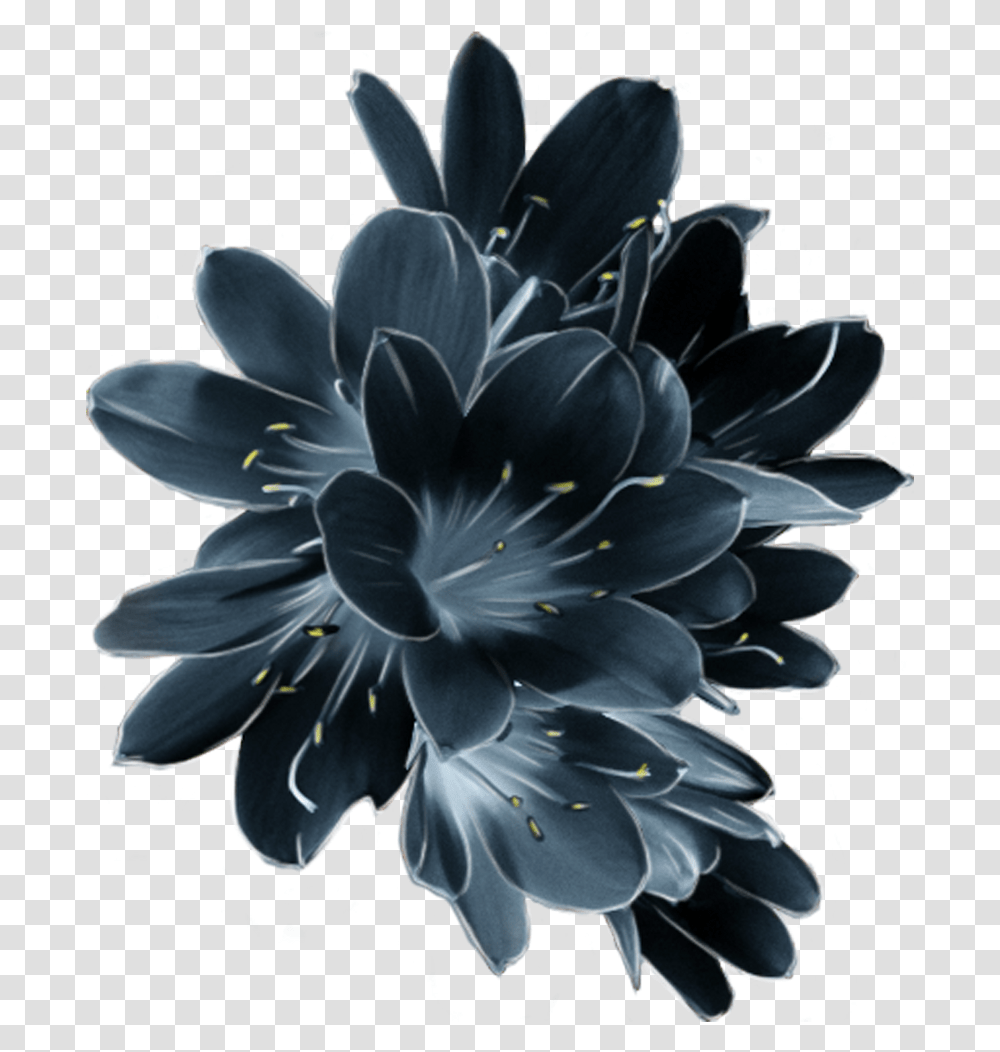Download Hd Mq Blue Flower Flowers Garden Dark Pink Sky Dark Blue Flower, Dahlia, Plant, Blossom, Daisy Transparent Png