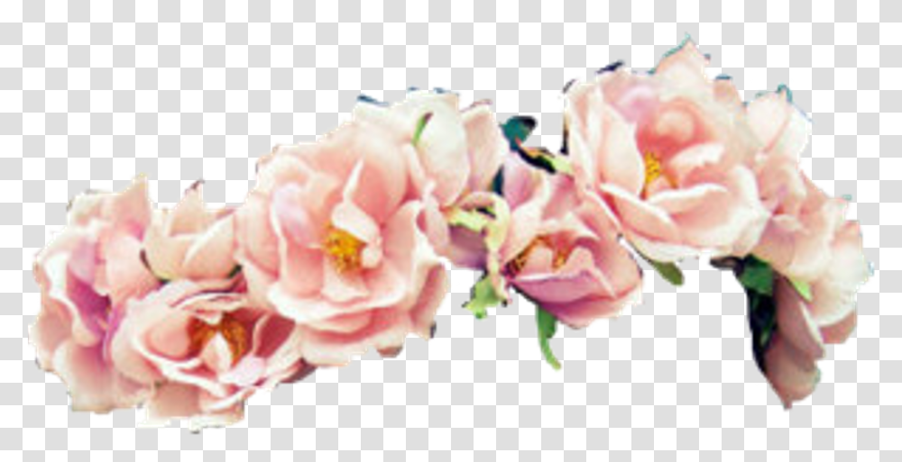 Download Hd My Fave Flower Crown Owo Pink Flowers Flowers Head Crown, Plant, Blossom, Petal, Geranium Transparent Png
