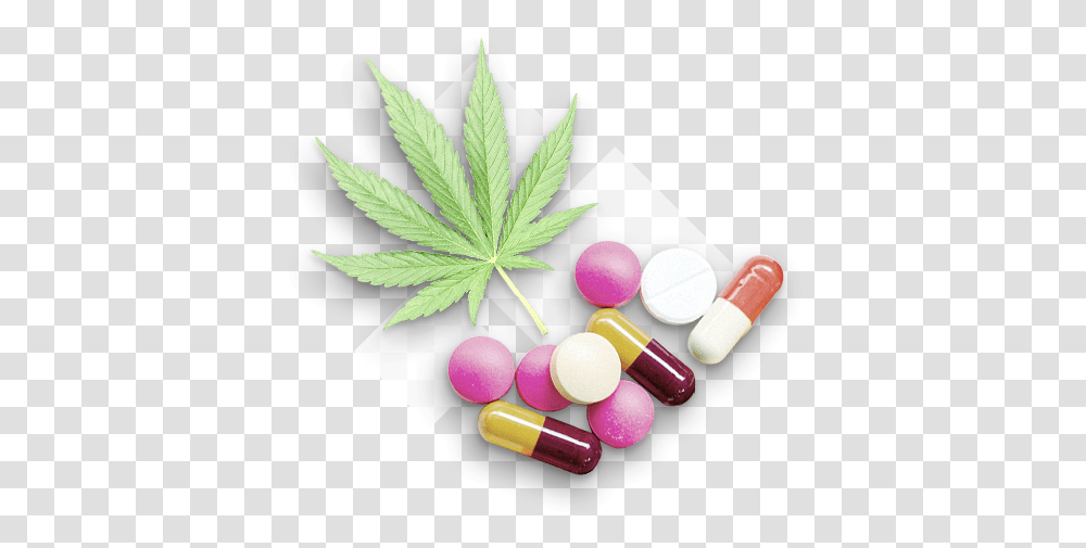 Download Hd Narcotics Pills Narcotic, Medication, Plant, Capsule Transparent Png