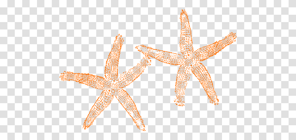 Download Hd Orange Starfish Clipart Clipart Starfish No Fish Clip Art, Invertebrate, Sea Life, Animal, Lizard Transparent Png