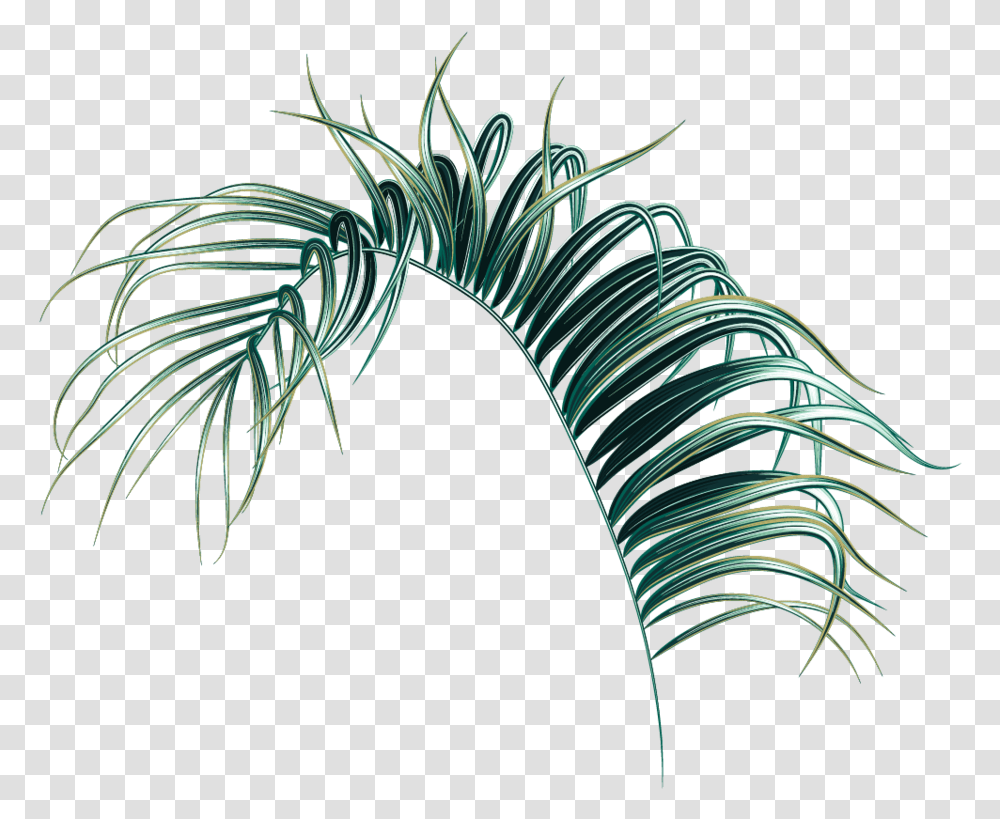 Download Hd Palm Leaf Palm Tree Leaf, Graphics, Art, Pattern, Floral Design Transparent Png