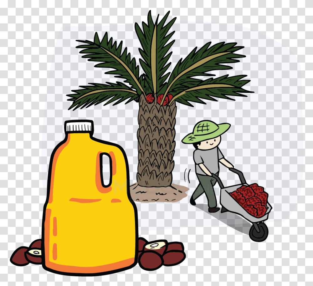 Download Hd Palm Oil Tree Palm Oil Cartoon Clip Art Palm Oil, Palm Tree, Plant, Arecaceae, Beverage Transparent Png
