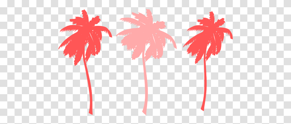 Download Hd Palm Tree Colorful Colorful Palm Trees, Leaf, Plant, Maple Leaf, Flower Transparent Png