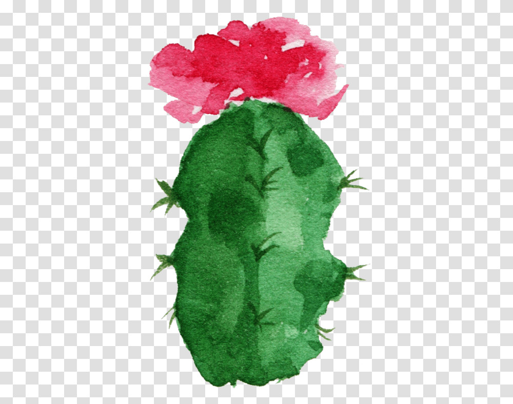 Download Hd Paper Cactaceae Watercolor Painting Succulent Watercolor Succulent Background, Plant, Leaf, Flower, Geranium Transparent Png