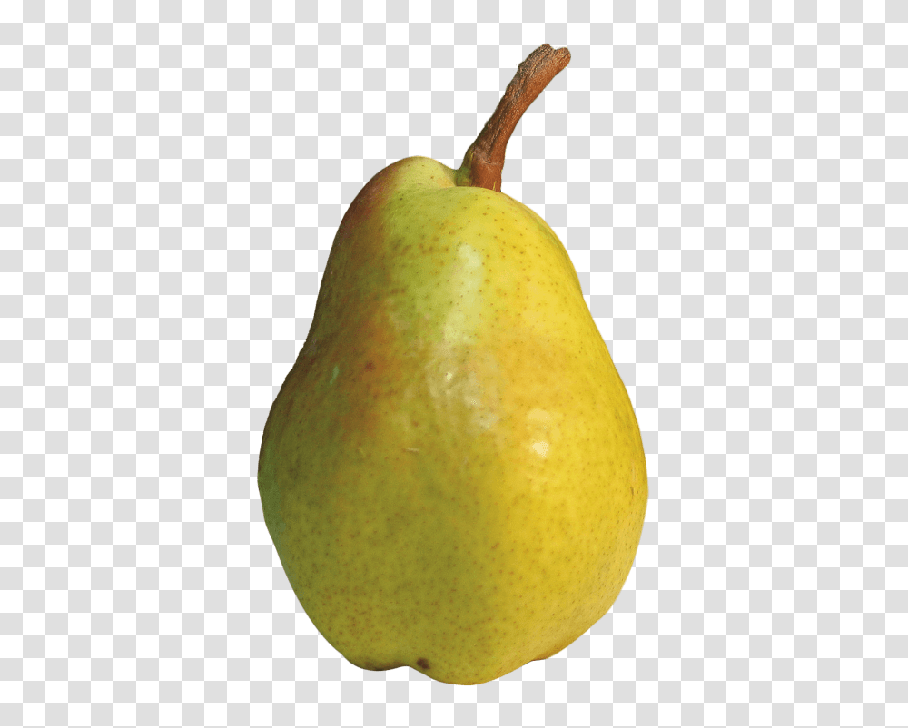 Download Hd Pear Image Pear, Plant, Fruit, Food Transparent Png