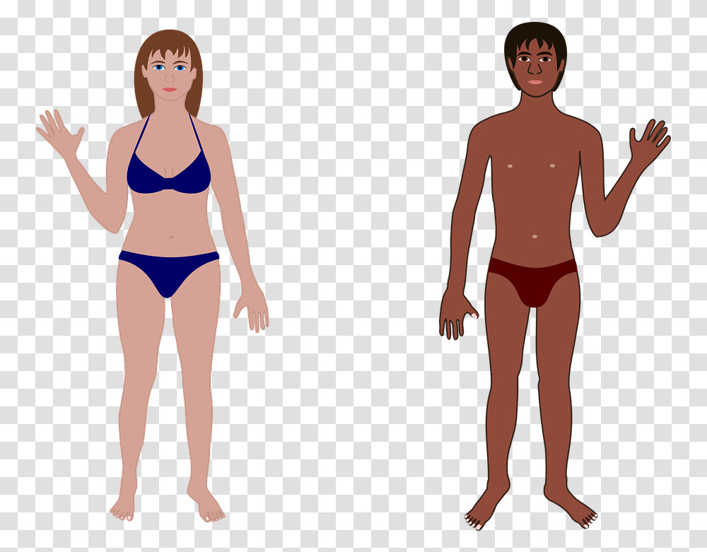 Download Hd People Clipart Bathing Suit People Who Are Both Genders, Person, Human, Plot, Clothing Transparent Png