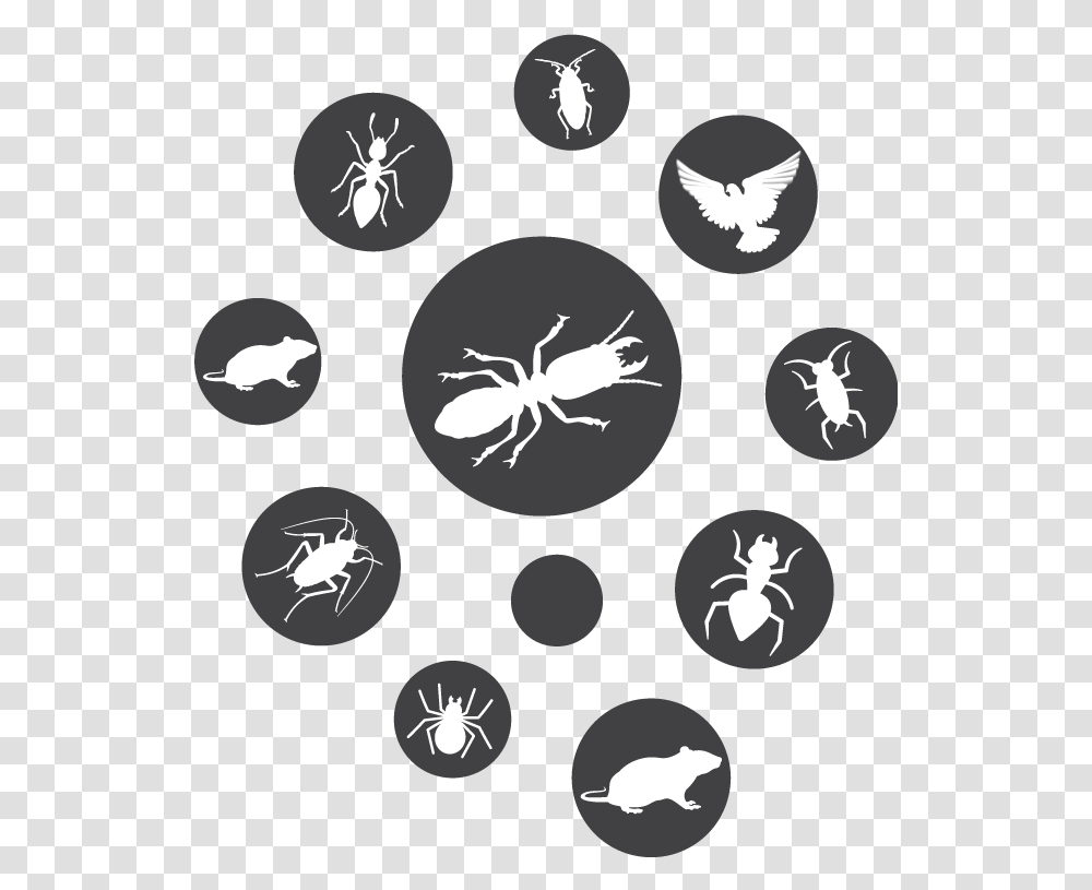 Download Hd Pest Circle Icons Pest Control Icon Green Park, Stencil, Symbol, White, Texture Transparent Png