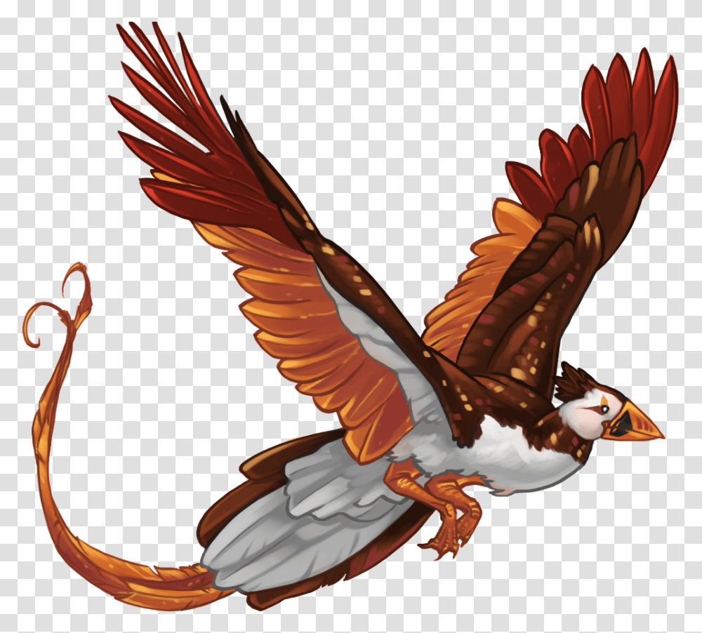 Download Hd Pheonix Template Autumn Zpsdd43cdc6 Hawk Falconiformes, Flying, Bird, Animal, Eagle Transparent Png