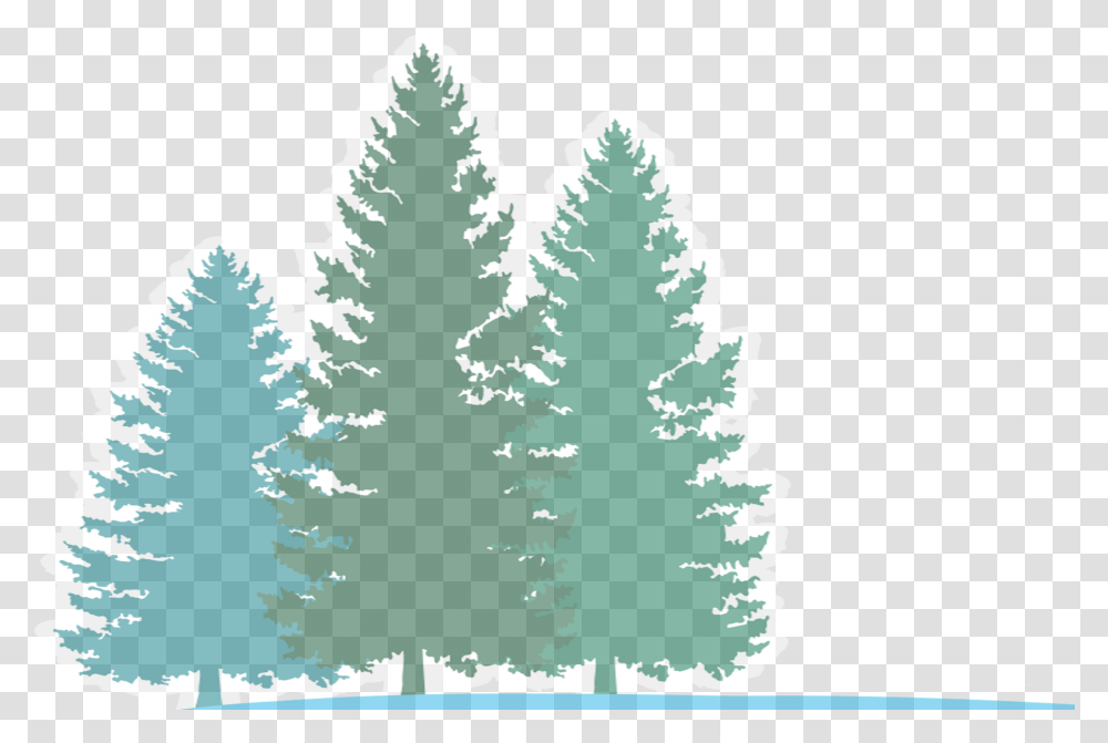 Download Hd Pine River Forest Background Colorado Spruce Christmas Tree, Plant, Leaf, Fir, Abies Transparent Png