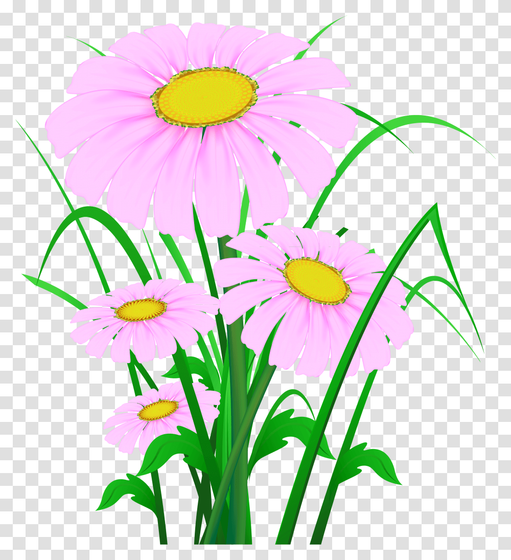 Download Hd Pink Daisies Clipart Clipart Wild Flower Clipart, Plant, Daisy, Blossom, Pollen Transparent Png