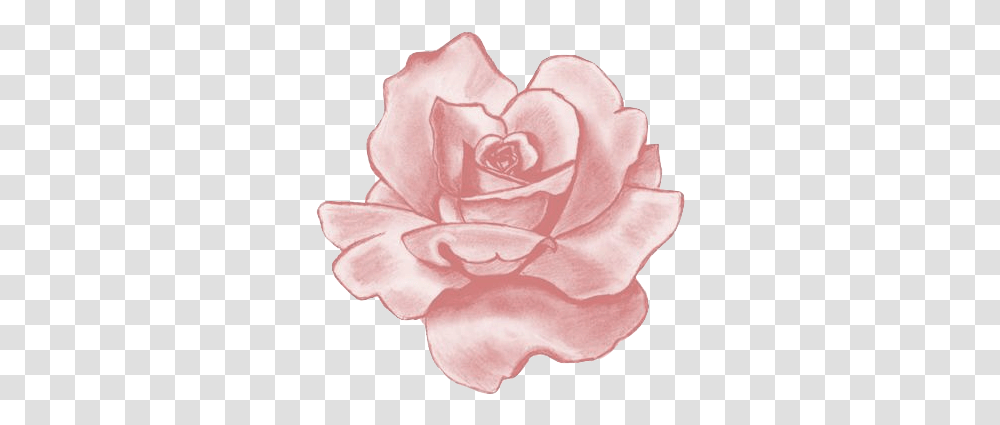 Download Hd Pink Flower Clipart Velvet Pink Scrunchie, Plant, Blossom, Petal, Rose Transparent Png