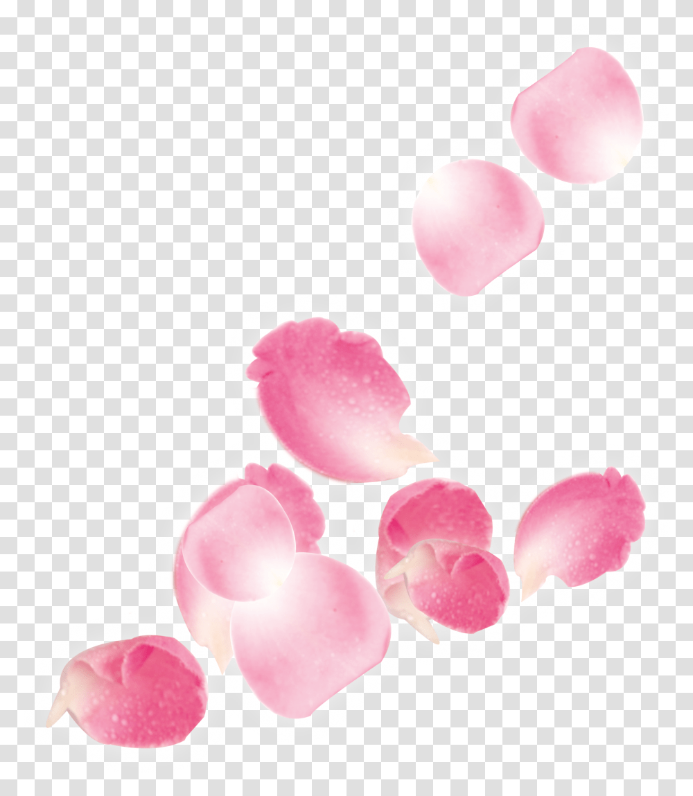 Download Hd Pink Rose Petals Falling Pink Rose Petals Pink Rose Petals, Flower, Plant, Blossom, Stain Transparent Png