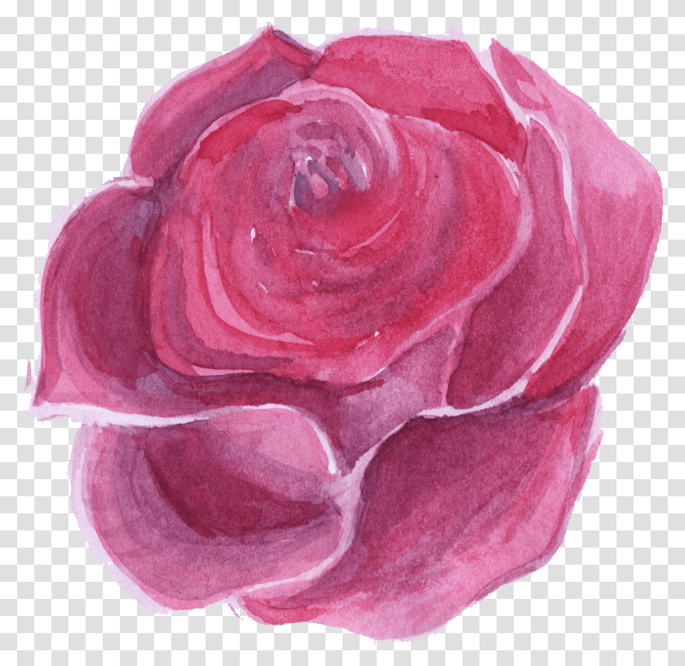 Download Hd Pink Watercolor Flower Lovely, Plant, Rose, Blossom, Petal Transparent Png