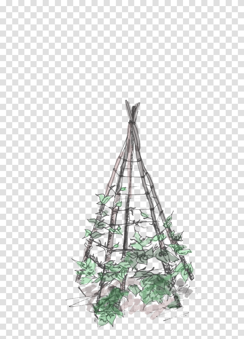 Download Hd Plant Teepee Image Nicepngcom Christmas Tree, Ornament, Outdoors, Nature, Gemstone Transparent Png
