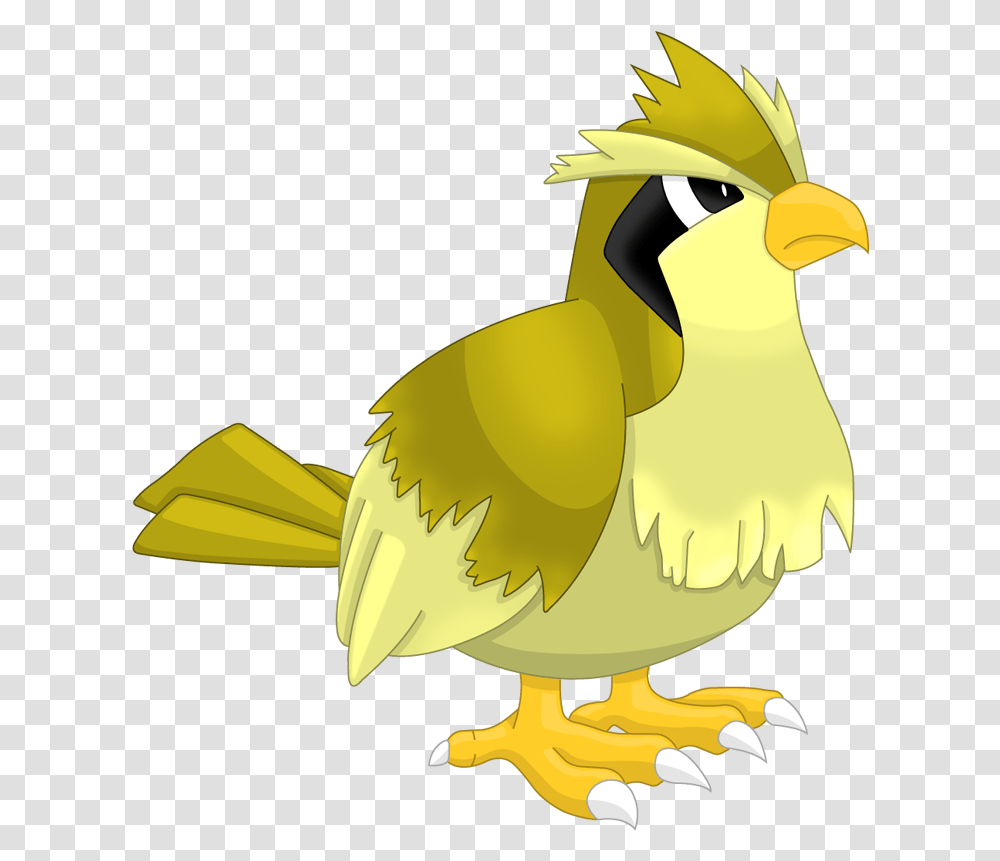 Download Hd Pokemon Pidgey Shiny Shiny Pidgey, Animal, Bird, Beak Transparent Png