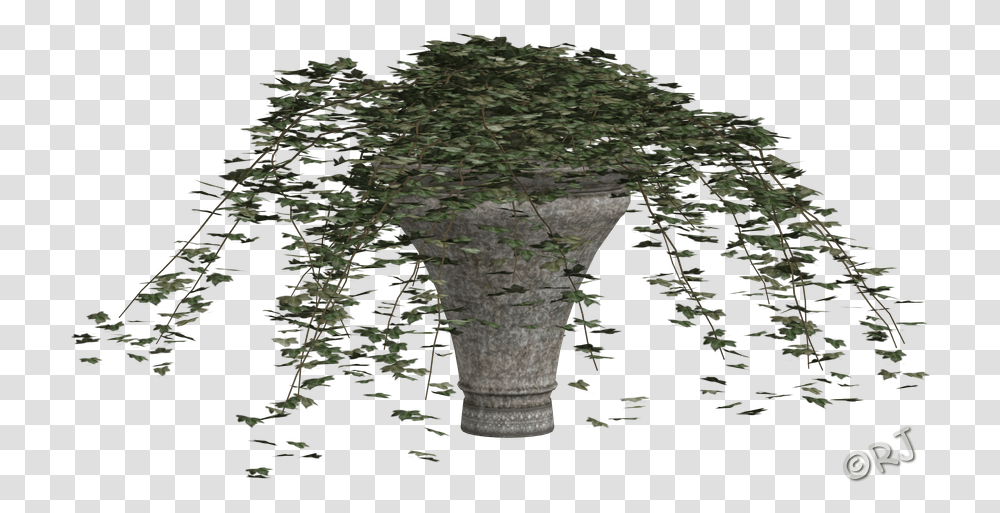 Download Hd Potted Plants Set I Bigtree Canoe Birch, Building, Architecture, Soil, Jar Transparent Png