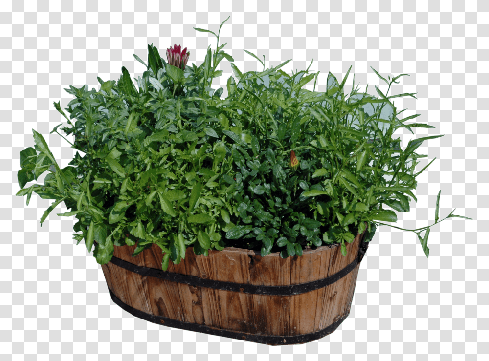 Download Hd Potted Plants Wood Flower Pots Houseplant Transparent Png