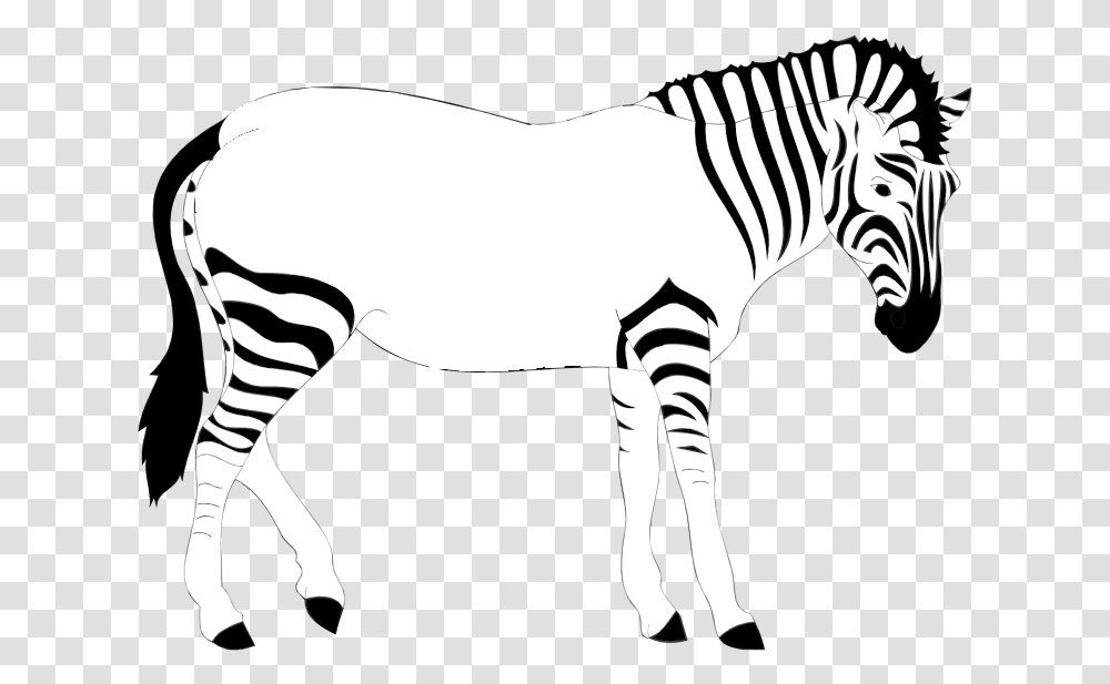 Download Hd Print Out The Zebra 10 Lines On Zebra Zebra Lost His Stripes, Animal, Mammal, Wildlife, Stencil Transparent Png