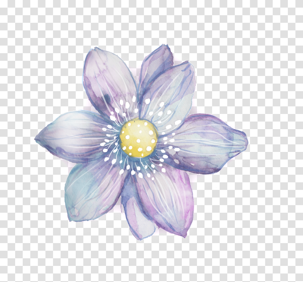 Download Hd Purple White Petals Purple Watercolor Flowers Clipart, Plant, Anemone, Blossom, Anther Transparent Png