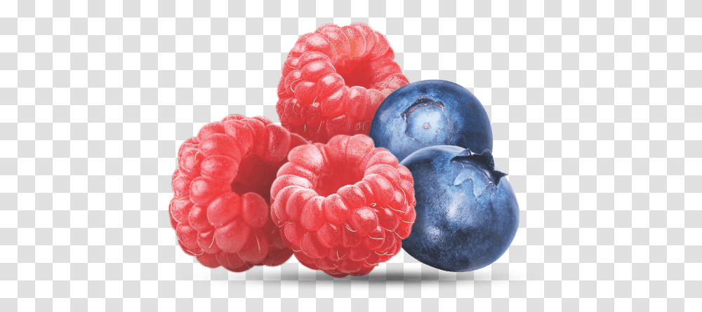 Download Hd Raspberry Blueberry Blueberry Frutti Di Bosco, Plant, Fruit, Food, Sweets Transparent Png