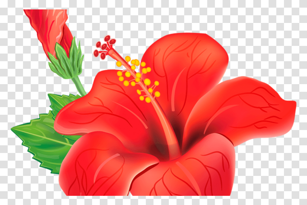Download Hd Red Exotic Flower Clipart Picture Moana Red Tropical Flowers, Plant, Hibiscus, Blossom, Pollen Transparent Png