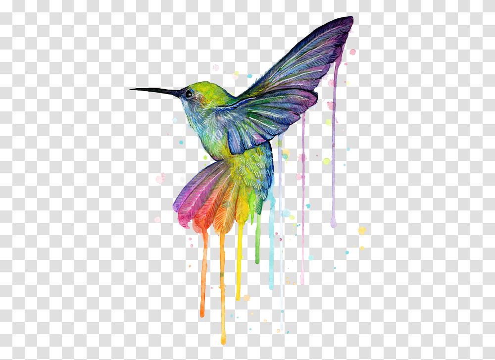 Download Hd Report Abuse Beautiful Bird Watercolor Painting, Animal, Bee Eater, Hummingbird Transparent Png