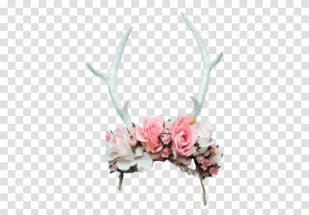 Download Hd Report Abuse Flower Crown Antlers Antler Flower Crown, Bird, Animal, Accessories, Accessory Transparent Png