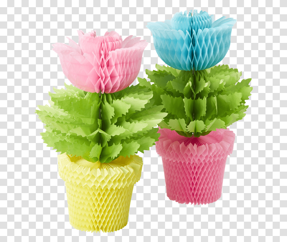 Download Hd Rice Dk Paper Flower Pots Honeycomb Decoration Paper Flower Pot, Plant, Green, Leaf, Blossom Transparent Png