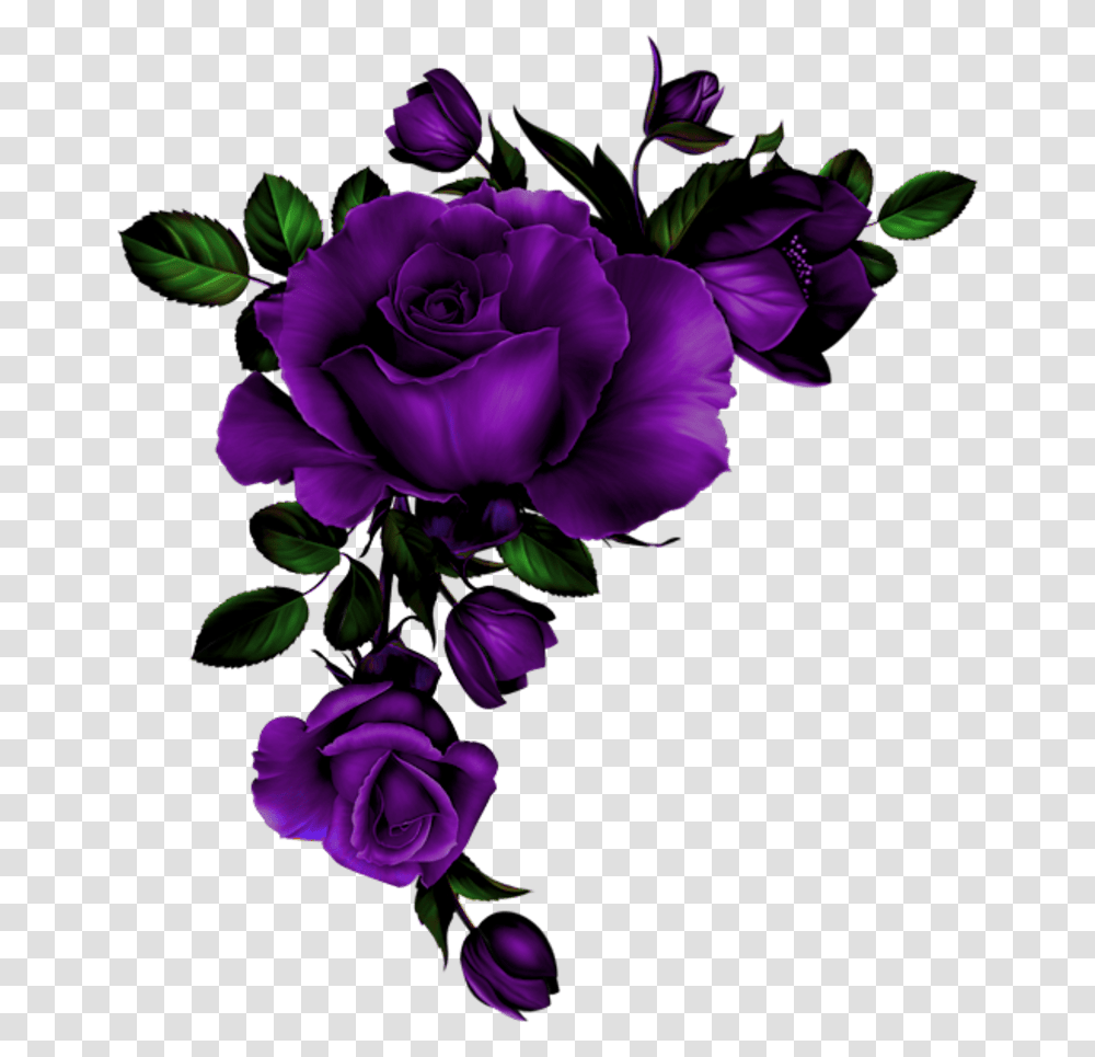 Download Hd Rose Coin Mauve Background Rose Red Roses, Flower, Plant, Blossom, Graphics Transparent Png